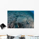 Flounder Blends into Its Wall Decal