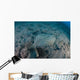 Flounder Blends into Its Wall Decal