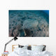 Flounder Blends into Its Wall Decal