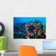 Lionfish Displays Its Venomous Wall Decal
