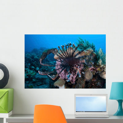Lionfish Displays Its Venomous Wall Decal shown on a wall