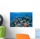 Vibrant and Healthy Coral Wall Decal