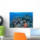 Vibrant and Healthy Coral Wall Decal