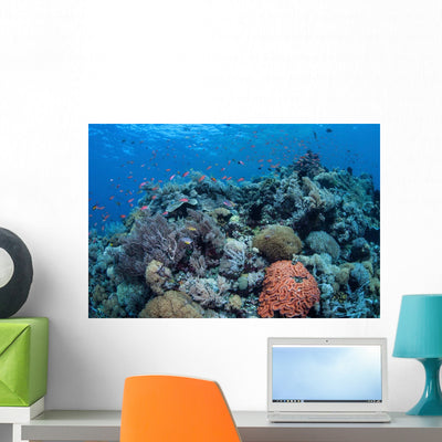 Vibrant and Healthy Coral Wall Decal shown on a wall