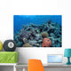 Vibrant and Healthy Coral Wall Decal