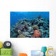 Vibrant and Healthy Coral Wall Decal