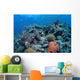 Vibrant and Healthy Coral Wall Decal