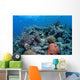 Vibrant and Healthy Coral Wall Decal