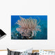 Tube Anemone Grows Sandy Wall Decal Design 1