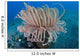 Tube Anemone Grows Sandy Wall Decal Design 1