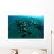 Corals Encroach Black Sand Wall Decal
