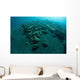 Corals Encroach Black Sand Wall Decal