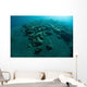 Corals Encroach Black Sand Wall Decal