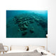 Corals Encroach Black Sand Wall Decal