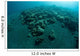 Corals Encroach Black Sand Wall Decal