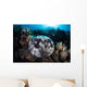 Pin Cushion Starfish Clings Wall Decal
