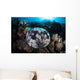 Pin Cushion Starfish Clings Wall Decal