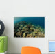 Field Soft Corals Grows Wall Decal