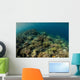 Field Soft Corals Grows Wall Decal