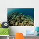 Field Soft Corals Grows Wall Decal