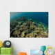 Field Soft Corals Grows Wall Decal