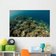 Field Soft Corals Grows Wall Decal
