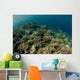 Field Soft Corals Grows Wall Decal