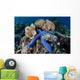 Blue Starfish Clings to Wall Decal Design 5