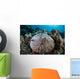 Mushroom Coral Grows Reef Wall Decal