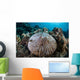 Mushroom Coral Grows Reef Wall Decal