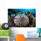 Mushroom Coral Grows Reef Wall Decal