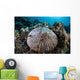 Mushroom Coral Grows Reef Wall Decal
