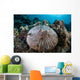 Mushroom Coral Grows Reef Wall Decal