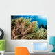 Soft Coral Colony Grows Wall Decal