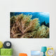 Soft Coral Colony Grows Wall Decal