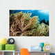 Soft Coral Colony Grows Wall Decal