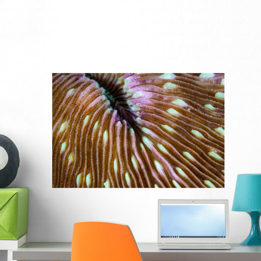 Detail Mushroom Coral Growing Wall Decal