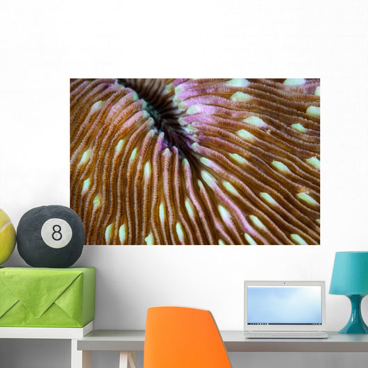 Detail Mushroom Coral Growing Wall Decal