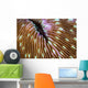 Detail Mushroom Coral Growing Wall Decal