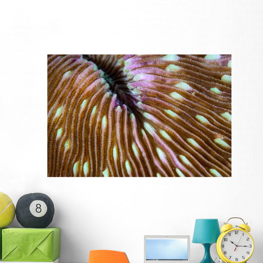 Detail Mushroom Coral Growing Wall Decal