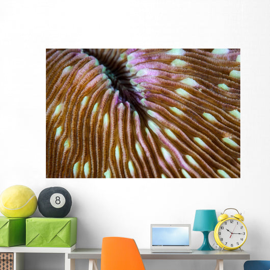 Detail Mushroom Coral Growing Wall Decal