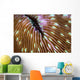 Detail Mushroom Coral Growing Wall Decal