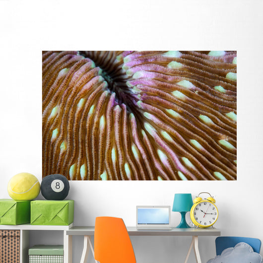 Detail Mushroom Coral Growing Wall Decal