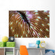 Detail Mushroom Coral Growing Wall Decal