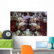 Scorpionfish Lays Reef Indonesia Wall Decal