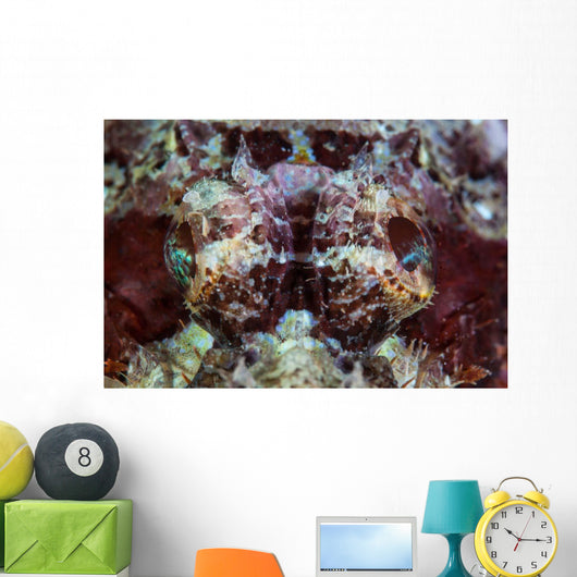 Scorpionfish Lays Reef Indonesia Wall Decal