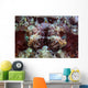 Scorpionfish Lays Reef Indonesia Wall Decal
