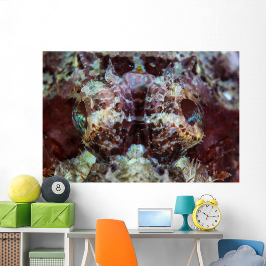 Scorpionfish Lays Reef Indonesia Wall Decal