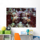 Scorpionfish Lays Reef Indonesia Wall Decal