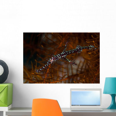 Ornate Ghost Pipefish Blends Wall Decal Design 1 shown on a wall